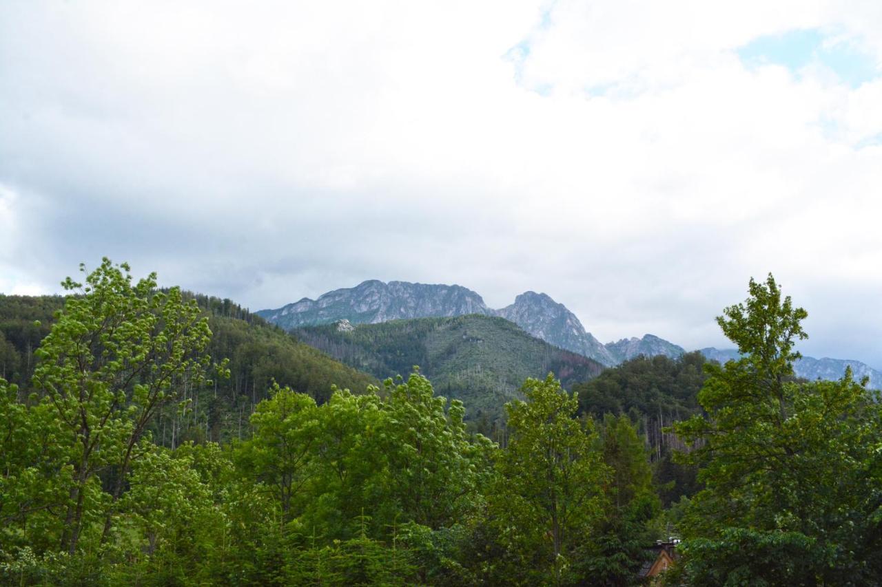 Willa Halka Zakopane Esterno foto