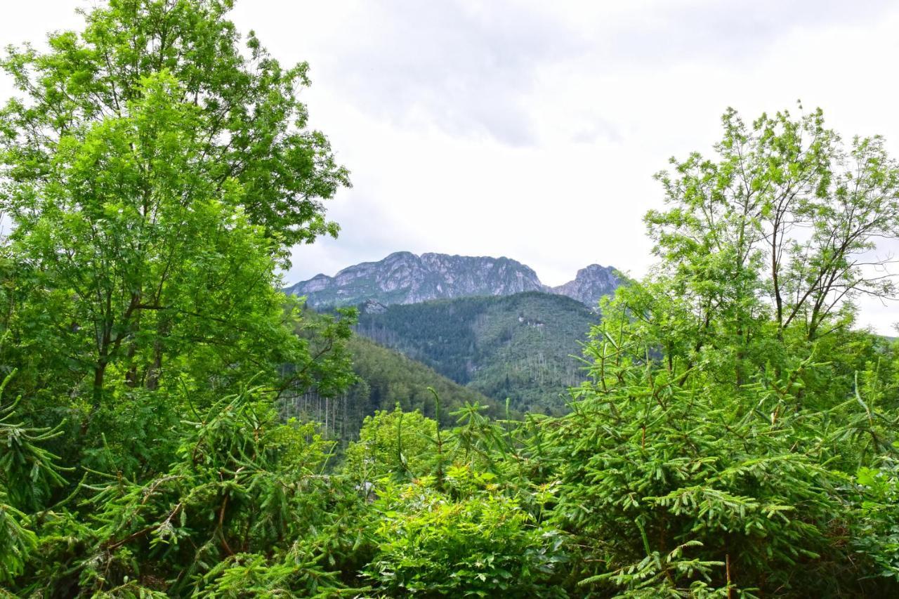 Willa Halka Zakopane Esterno foto
